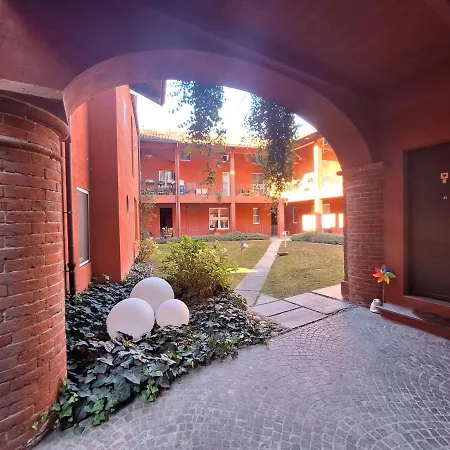 Domus Vinum Alba (Piedmont)