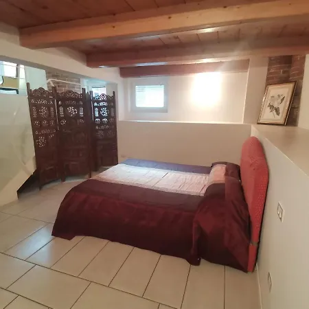 Domus Vinum * Alba (Piedmont)